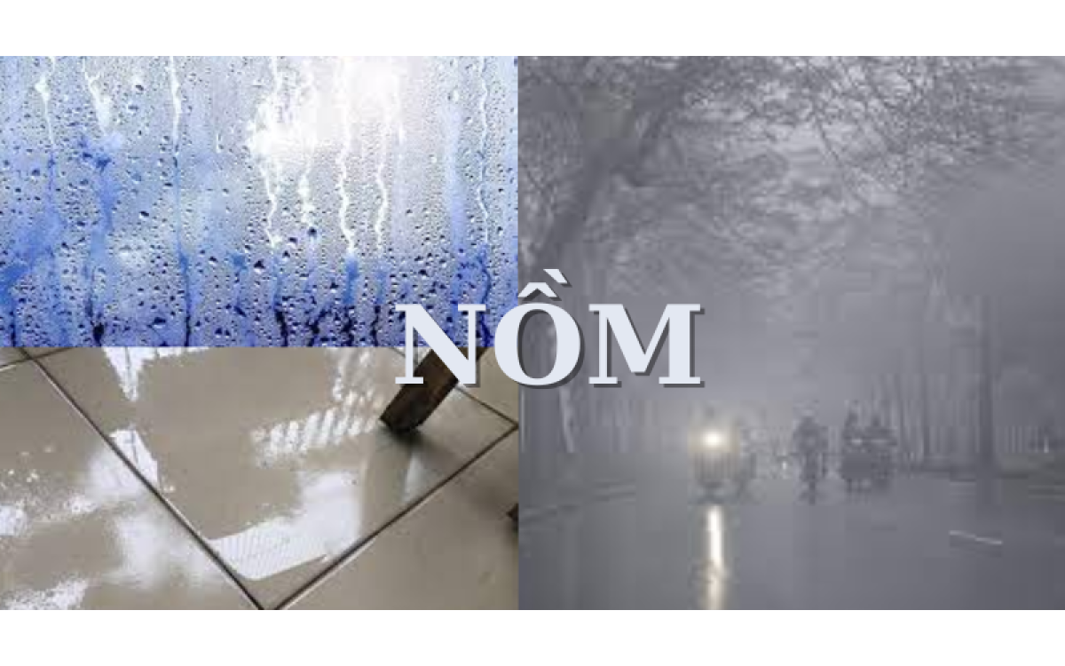 C&aacute;ch bảo vệ bếp từ m&ugrave;a nồm ẩm